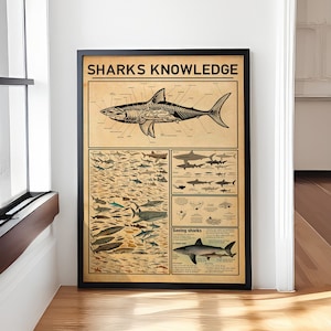 Póster sobre tiburones – Tabla de tipos de tiburones – Arte mural de tiburones para niños y adultos – Lámina educativa sobre animales del océano – Regalo para amantes de los tiburones