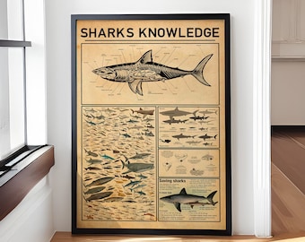 Sharks Knowledge Poster – Types of Sharks Chart – Shark Wall Art for Kids & Adults – Ocean Animal Educational Print – Shark Lover Gift
