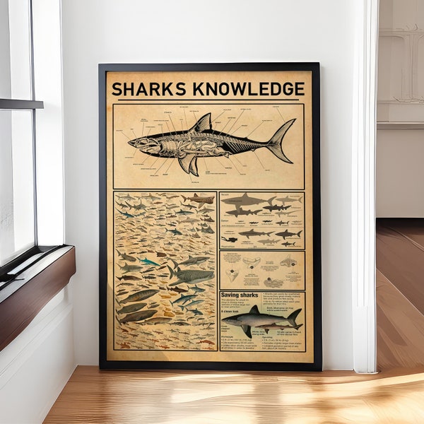 Sharks Knowledge Poster, Shark Wall Art Decor, Types Of Shark Poster, Shark Lover Gift, Ocean Poster