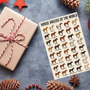 Puede incluir: Un regalo envuelto con un lazo a rayas rojas y blancas, un p&oacute;ster titulado "Horse Breeds of the World" y adornos navide&ntilde;os que incluyen pi&ntilde;as, adornos y vegetaci&oacute;n. El p&oacute;ster muestra varias razas de caballos.