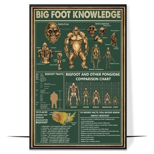 May include: A green and brown infographic poster about Bigfoot. The poster includes a skeletal comparison of Bigfoot to other primates, a map of the United States showing where Bigfoot sightings have been reported, and a list of 10 weird facts about Bigfoot. The poster has the title "Bigfoot Knowledge".