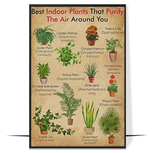 The Best Time To Plant A Tree Poster, Grünpflanzen sind gut für die Gesundheit Wandkunst, Wissen über Zimmerpflanzen Bild,