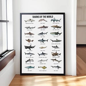Haie Der Welt Retro Poster/Leinwand, Haie Vintage Poster, Hai Liebhaber Geschenk, Ozean Poster, Tier Poster