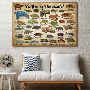 May include: A vintage-style poster featuring illustrations of different turtle species from around the world. The poster is titled "Turtles of The World" and lists the common names of each turtle species.