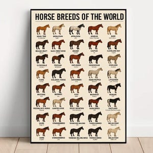 Puede incluir: Un p&oacute;ster enmarcado titulado "HORSE BREEDS OF THE WORLD" muestra ilustraciones de diferentes razas de caballos. El p&oacute;ster presenta una cuadr&iacute;cula de siluetas de caballos, cada una etiquetada con el nombre de la raza y el origen, como el Andaluz.