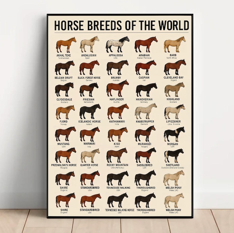 Puede incluir: Un p&oacute;ster enmarcado titulado "HORSE BREEDS OF THE WORLD" muestra ilustraciones de diferentes razas de caballos. El p&oacute;ster presenta una cuadr&iacute;cula de siluetas de caballos, cada una etiquetada con el nombre de la raza y el origen, como el Andaluz.