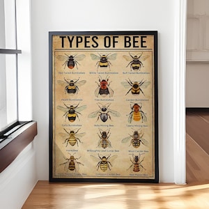 Póster retro nostálgico de tipos de abejas, lienzo con información sobre abejas, conocimiento de las abejas