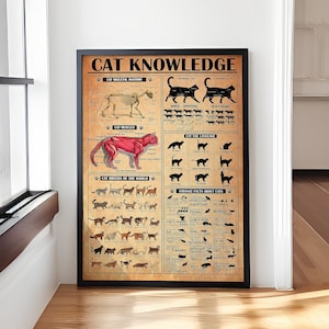Katzenwissen Poster, Katzenskelettanatomie, Katzenmuskulatur, Katzenrassen der Welt Katzeninformationen Katzenposter