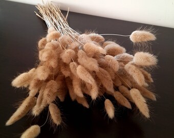 Natural Bunny Tail Grass, Dried Grass, Dried Flower Bunch, Eco Dried Decor, Dried Flower Arrangement, Dried Floral Bouquet, Rustic Bouquet