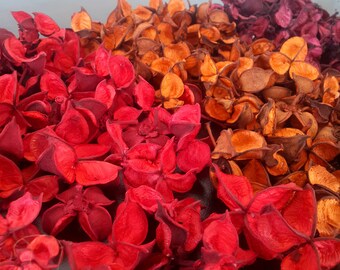 Getrocknete Baumwolle Großhandel Schoten, getrocknete Früchte Bulk, getrocknete Herbst Blumenstrauß, Dekoration, Herbst Hochzeit Bouquet, getrocknete Boutonniere, getrocknete Schale Füllstoff