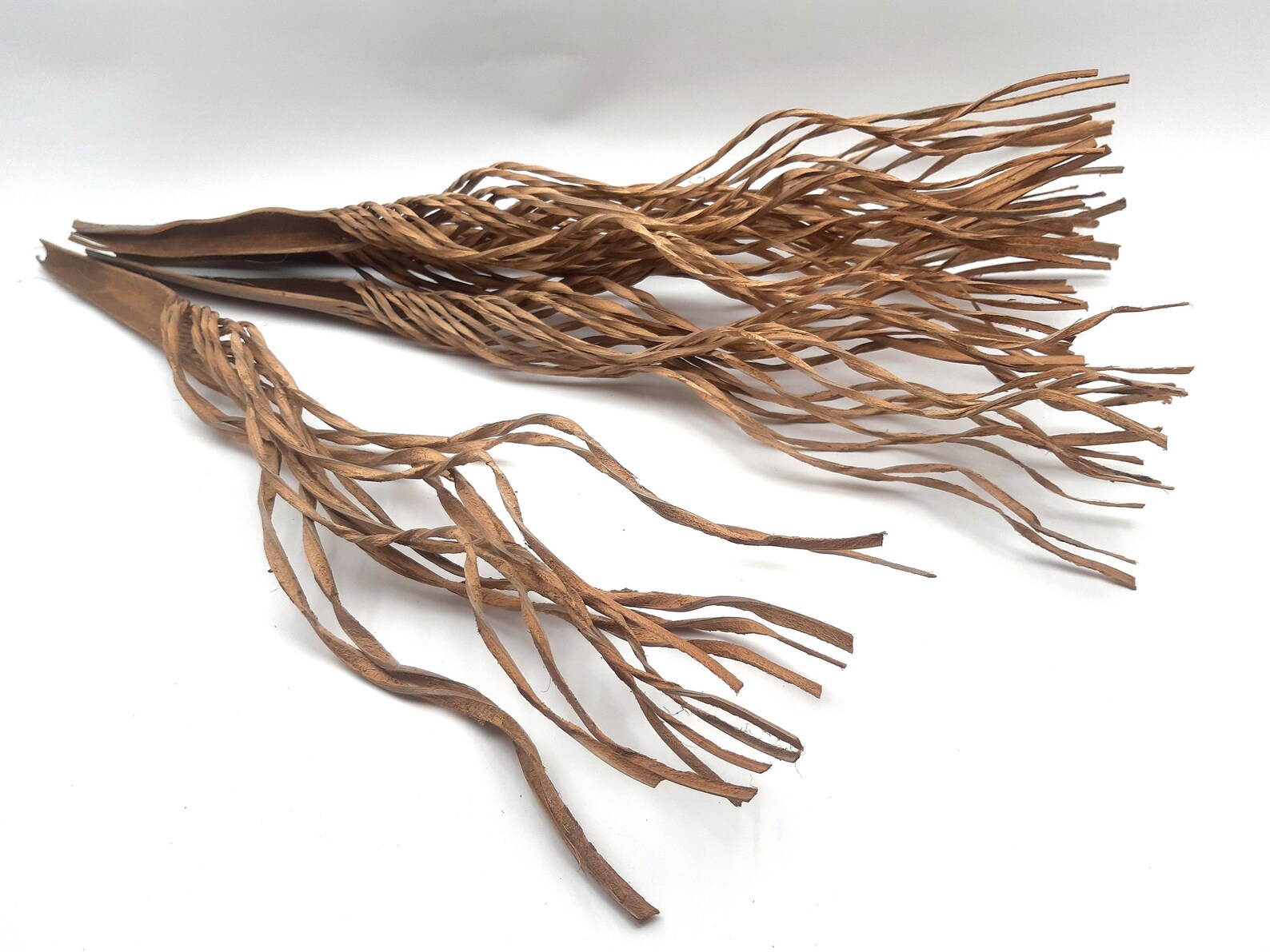 5pcs Large Wood Branches Wood Branches for Vase Wooden Etsy