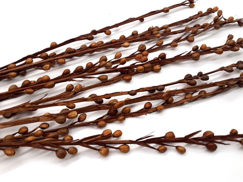 15 Dried Decorative Branches Brown Decorative Branches Dried Etsy