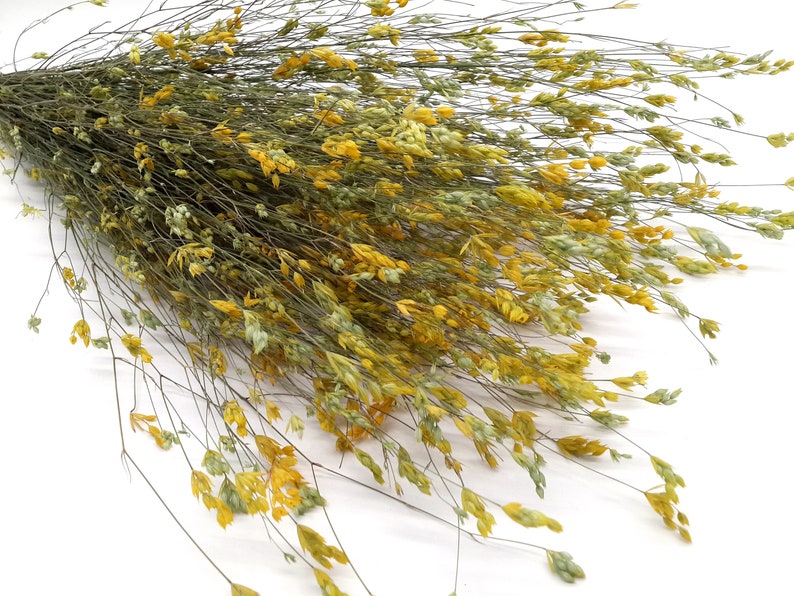 Dried Wild Flowers Dried Wildflowers Bunch Dried Wildflower Etsy