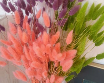 Getrocknete Blumen Bulk, Großhandel getrocknete Blumen, Bulk-Blumen, getrocknete Blume Blumenstrauß, getrocknete Blume Anordnung, getrocknete Dekor, Bunny Schwanz Gras BULK