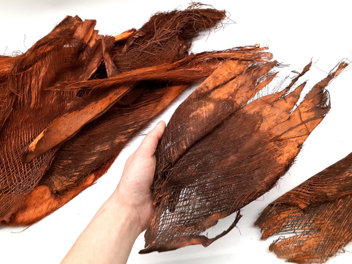 Palm Bark Fiber Palm Tree Barks Natural Palm Fiber Tropical Etsy