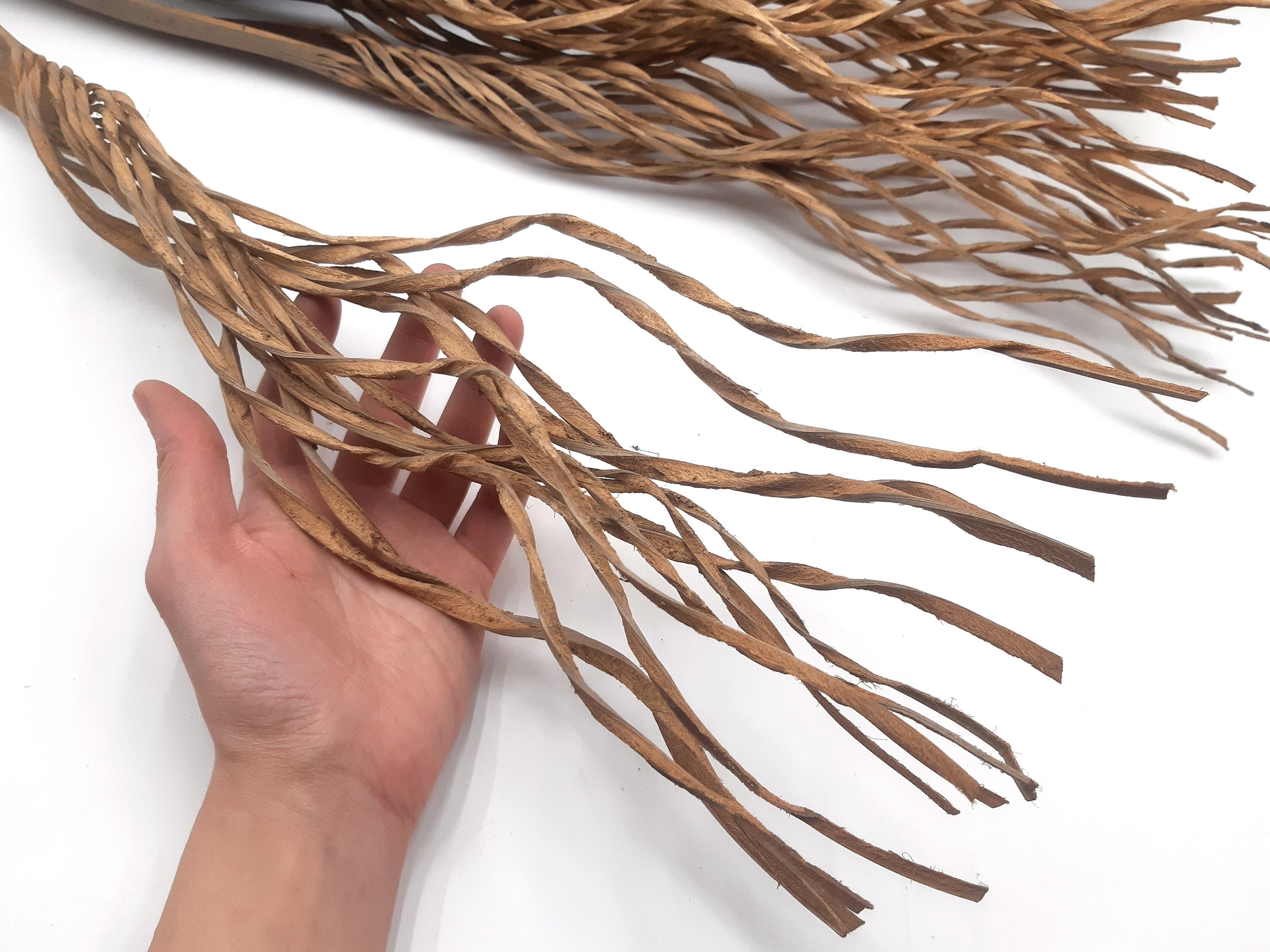 5pcs Large Wood Branches Wood Branches for Vase Wooden Etsy