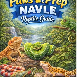 May include: A vibrant illustration of a reptile guide cover, featuring a variety of reptiles in a lush, green environment. The title reads "2026 Paws & Prep NAVLE Reptile Guide". Includes a bearded dragon, snake, turtle, gecko, and chameleon.