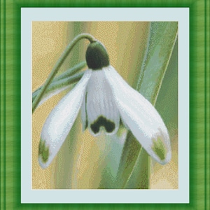Witte bloem kruissteekpatroon modern Volledige dekking kruissteek aquarel Realistisch sneeuwklokje x steek pdf Grote bloemenkaart geteld