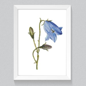Bluebell kruissteekpatroon Enkele blauwe bloem kruissteek Moderne realistische aquarel wilde bloem kruissteek Botanische bloemen
