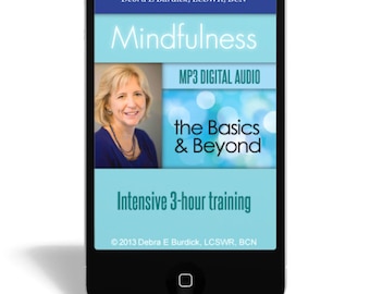 Mindfulness - The Basics and Beyond Intensive 3-hour training