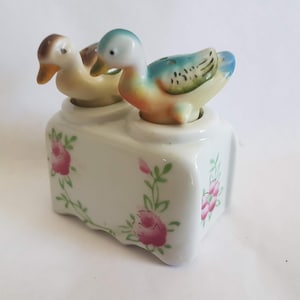 Puede incluir: Un juego de salero y pimentero de cerámica blanca con un diseño floral. Los saleros tienen forma de patos con detalles azules, amarillos y marrones.