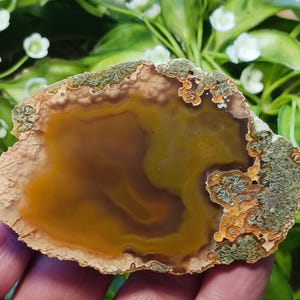 Polished Condor Agate Display Specimen: Argentinian Red Agate (81x56mm)
