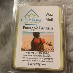Pineapple Paradise 2.5oz Wax Melt strong scent gift idea wax tart candle wax melter wax warmer home scent fun tropical scent coconut