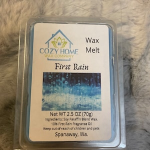 First Rain 2.5oz Wax Melt paraffin wax soy wax melt candle wax melter wax warmer votive home scent birthday gift petrichor fresh ozone
