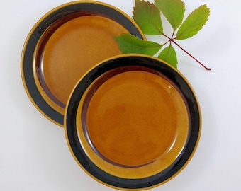 May include: Two brown ceramic plates with black and brown trim. The plates are stacked on top of each other.