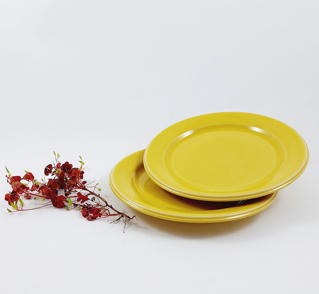 Höganäs Keramik SVERIGE プレート 2 枚セット Ø 18 cm / ヴィンテージ 