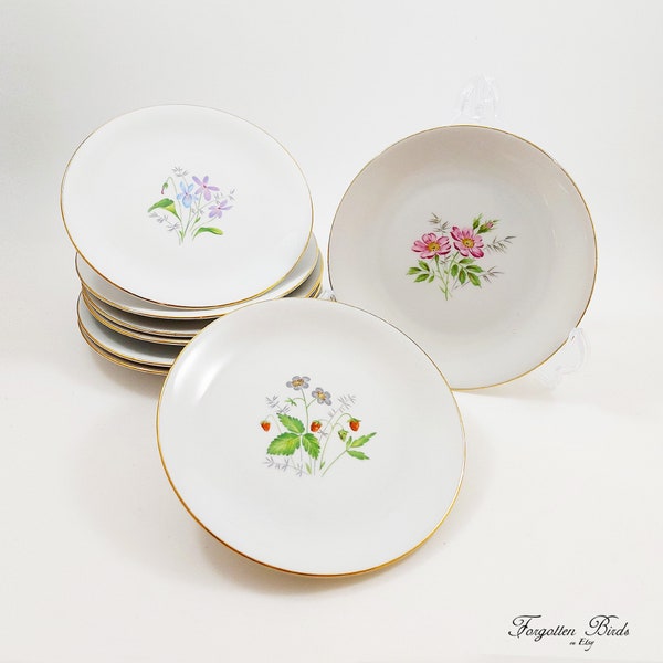 Set of 8 Hackefors Porslin Botanical Plates Ø 17 cm / Vintage Swedish Mid Century Floral Tableware / Scandinavian Retro Made in Sweden