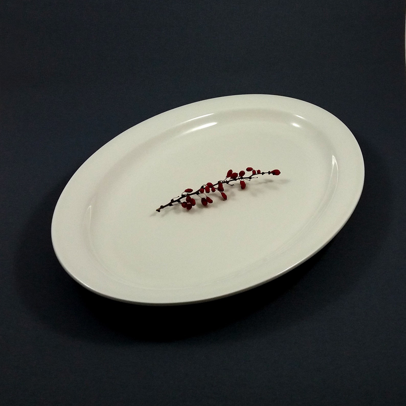 Arabia Finland ARCTICA Oval Serving Platter by Inkeri Leivo / Etsy