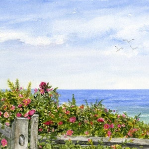 Cape Cod Watercolor Print, Housewarming Gift, Weathered Fence, Cape Cod Painting, Beach House Decor, Watercolor Beach Scene, Beach Roses