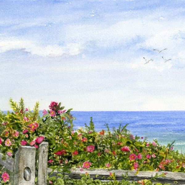 Cape Cod Watercolor Print, Mothers Day Gift, Weathered Fence, Cape Cod Painting, Beach House Decor, Watercolor Beach Scene, Wild Beach Roses