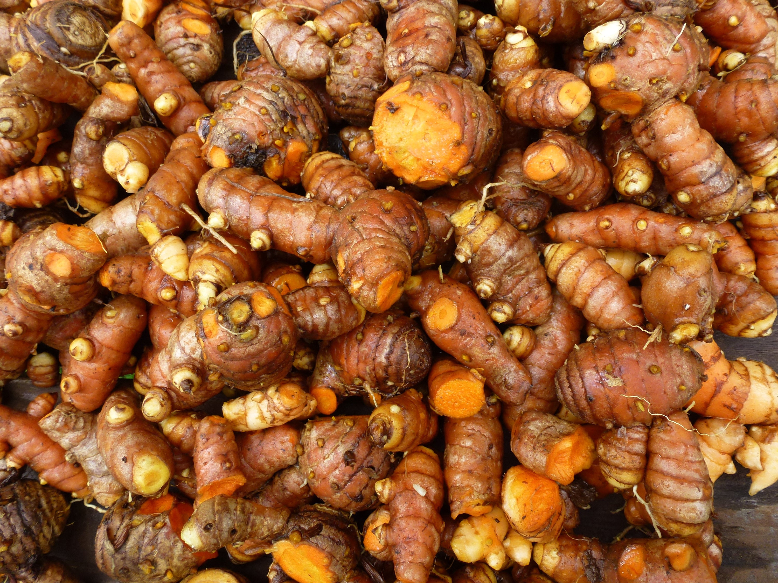 Turmeric Rhizome Alleppey Root Fresh Naturally Organically Etsy