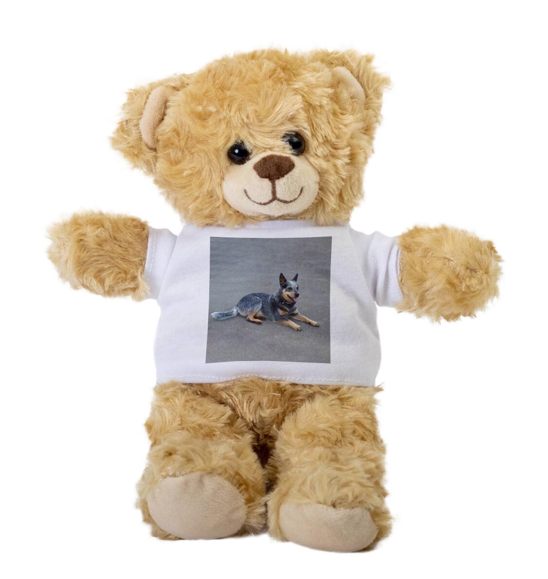 Australian Cattle Dog Teddy Bear Cattle Dog Gift Stuffed Animal Plush Teddy Bear With Tee Welcoming Baby Gift Gift for Her Etsy UK