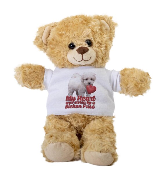 My Heart Was Stolen by a Bichon Frise Teddy Bear Gift Stuffed Animal Plush Teddy Bear With Tee Welcoming Baby Gift Gift for Her Etsy