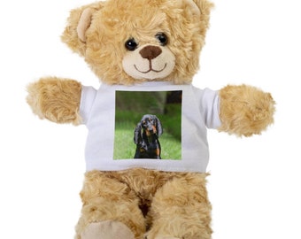 coonhound stuffed animal