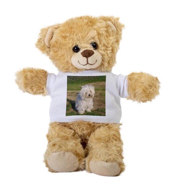 Maltese bear best sale