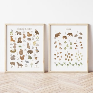 Woodland Alphabet and Numbers Printed art print, Printed and shipped Watercolor woodland alphabet printed on high archival paper WA3-A2