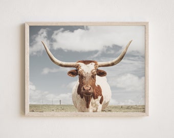 Texas Longhorn Cow  PRINTED Fine art print Ocean  printed on high archival paper photography decor LHP1-A1