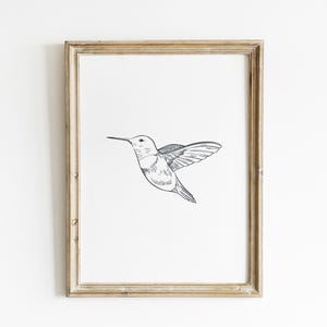 Hummingbird Sketch art print bird wall art black and white print hummingbird drawing Printed and shipped on high archival paper FB1-A1