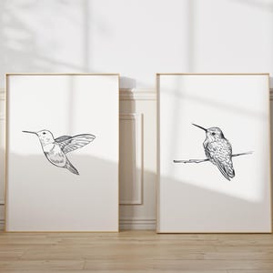 Hummingbird Drawing art print black and white print minimalist hummingbird sketch Printed and shipped on high archival paper Set of 2 FB2-A2