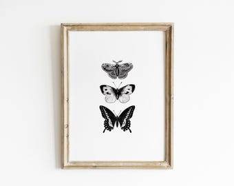 Black and White Butterfly Nursery Wall Art Vintage Insect Illustration Neutral Butterfly Print Cottagecore Minimalist Nature Decor BUF4-A1