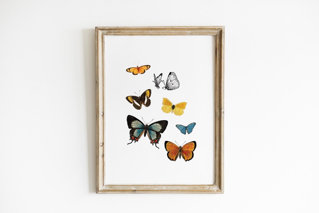Butterfly Nursery Wall Art Vintage Nature Print Cottagecore Farmhouse ...