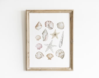 Seashell Wall Art Starfish Watercolor Coastal Bathroom Decor Beach House Decor Nautical Shell Art Neutral Beach Art Coastal Decor PEO7-A1