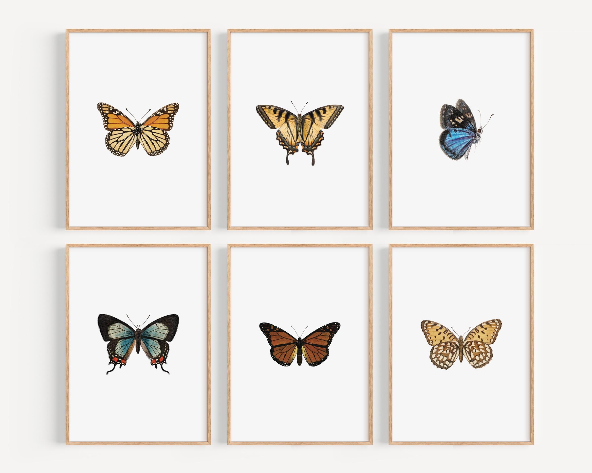 Vintage Butterfly Nursery Wall Art Set of 6 Vintage Nature Prints ...