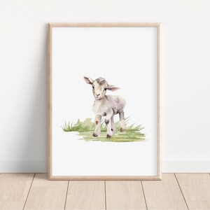 May include: A watercolor painting of a cute, gray and white lamb standing in a field of green grass.