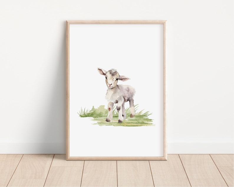 May include: A watercolor painting of a cute, gray and white lamb standing in a field of green grass.