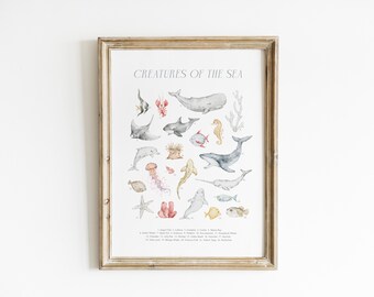 Ocean Animal Nursery Wall Art Watercolor Sea Creature Educational Poster Marine Life Chart Kids Room Classroom Biology Playroom PEO12-A1